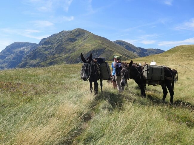 Pyrénées Ariégeoises