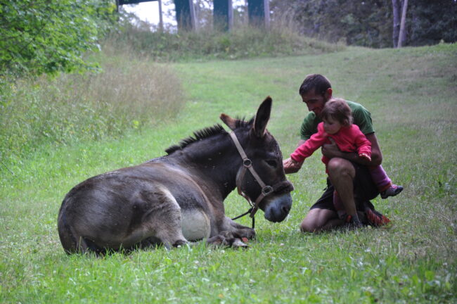3. Formule mix, bivouac et gîtes au choix de 2 à 7 jours