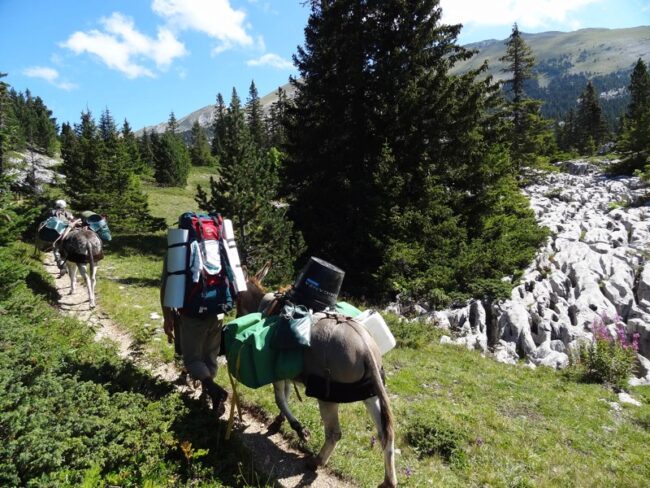 7 . Les glacières de Corrençon en Vercors