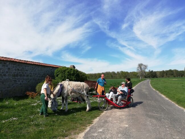 La balade accessible à tous !