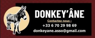 DONKEY'ÂNE