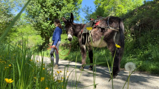 Rando journée : Escapade Nature - Pyrénées - Vallée de l'Arbas