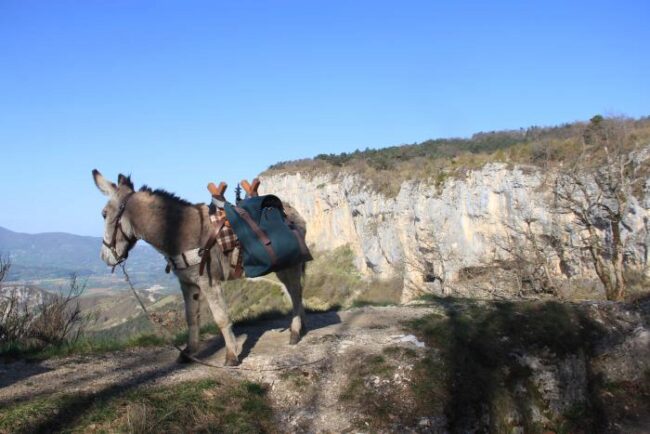 Rando 5 jours : Le tour des cretes du Vercors