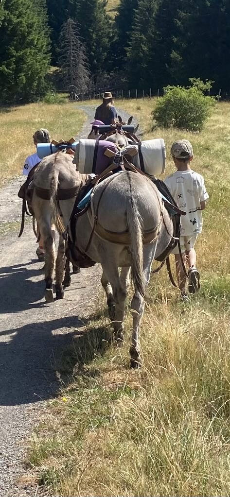 Randonnées accompagnées avec les ânes.