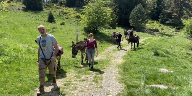 Immersion dans l'Art de la Randonnée avec un Âne : Stages Week-end et 4 Jours
