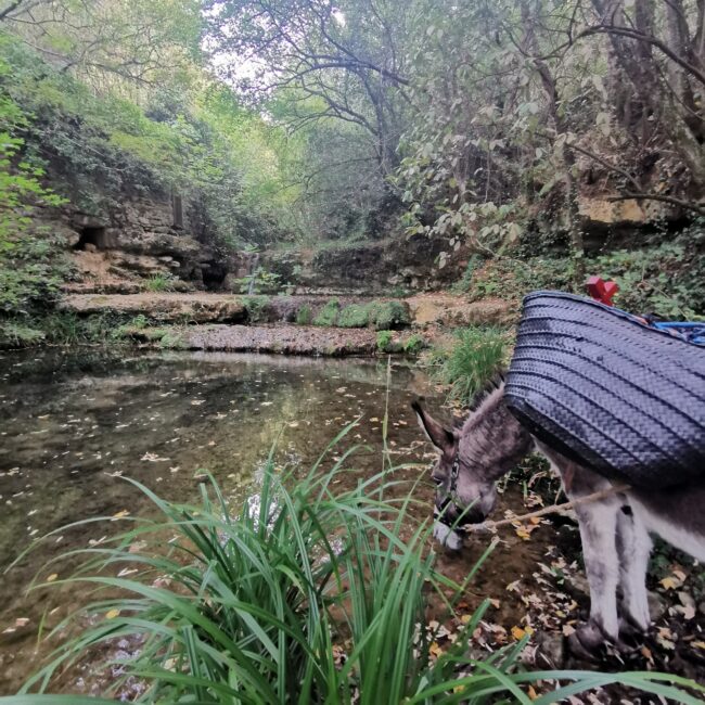 Balades et randonnées de 1 à 10 jours