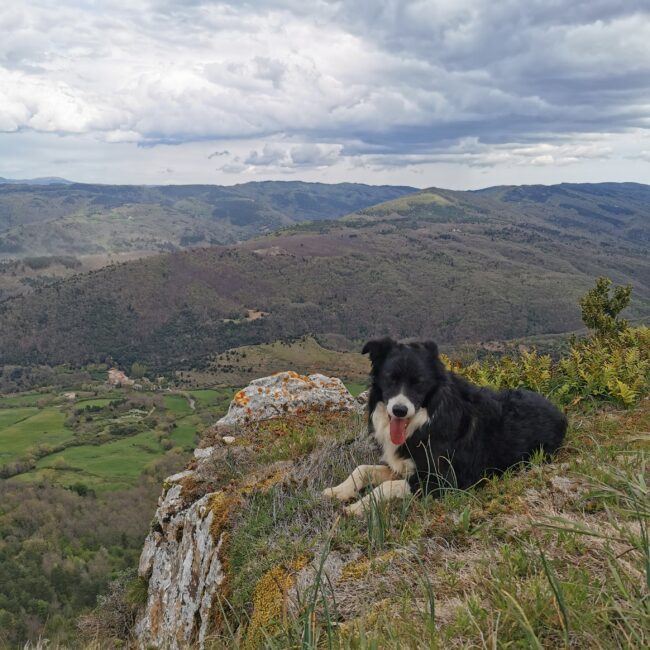 La Haute Vallée de l’Aude, un territoire aux mille richesses