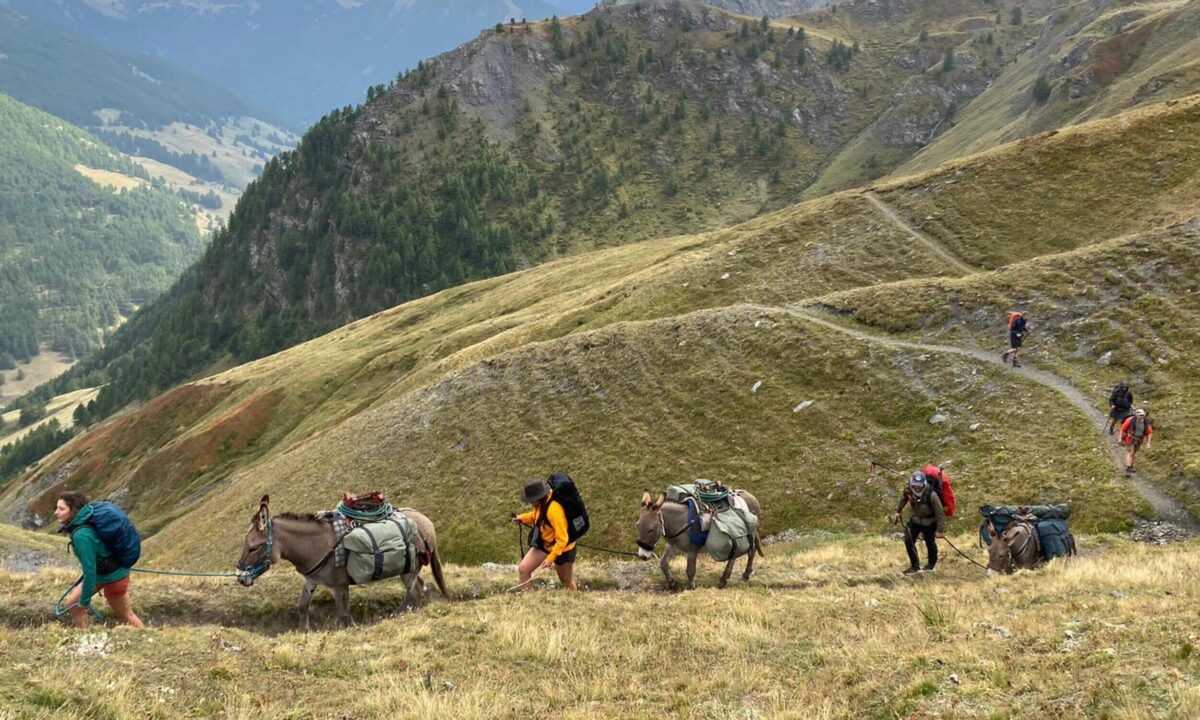 Notre Pays, Notre territoire,