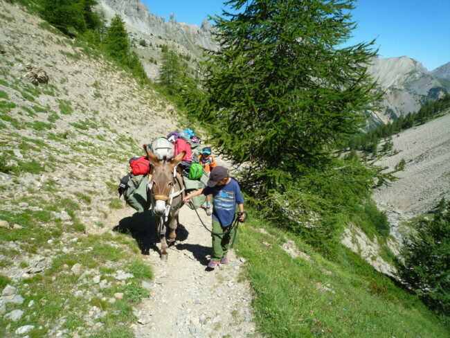 Les différentes randonnées avec nos ânes Rousins